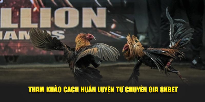 Tham khảo cách huấn luyện từ các chuyên gia